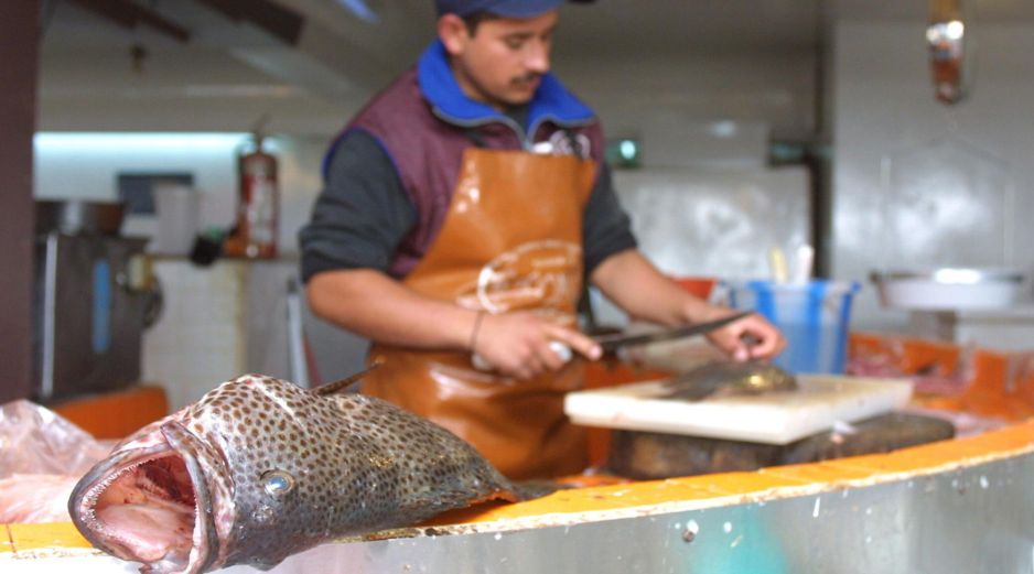 En 2025, de acuerdo con datos del Gobierno Federal, México produjo dos millones 173 mil 621 toneladas de pescados y mariscos. EL INFORMADOR/ARCHIVO