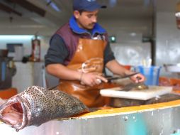 En 2025, de acuerdo con datos del Gobierno Federal, México produjo dos millones 173 mil 621 toneladas de pescados y mariscos. EL INFORMADOR/ARCHIVO