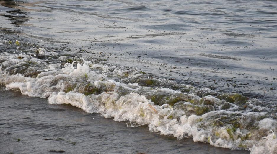 Semarnat reporta 825 toneladas de hidrocarburo recolectadas en mar y 630 km de litoral atendidos. EFE/Miguel Victória
