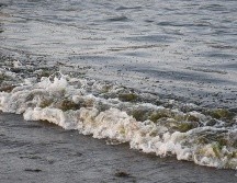 Semarnat reporta 825 toneladas de hidrocarburo recolectadas en mar y 630 km de litoral atendidos. EFE/Miguel Victória