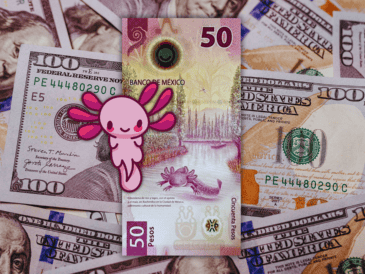 Durante la apertura de la jornada cambiaria de este 1 de abril de 2026, el dólar estadounidense cotiza en un promedio de 17.86 pesos, mostrando una recuperación significativa para nuestra moneda. ESPECIAL / CANVA