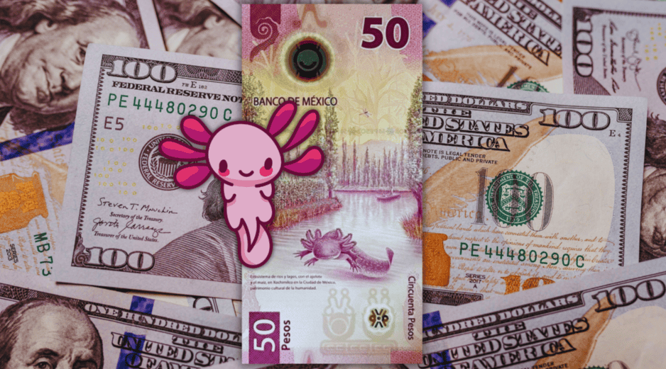 Durante la apertura de la jornada cambiaria de este 1 de abril de 2026, el dólar estadounidense cotiza en un promedio de 17.86 pesos, mostrando una recuperación significativa para nuestra moneda. ESPECIAL / CANVA