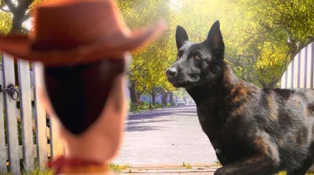 “Tras 10 años a nuestro lado, nuestro oficial canino Capitán ha cruzado el arcoíris, desde donde continuará con su servicio”, escribió el Gobierno de Zapopan en sus redes sociales. CORTESÍA/ Protección Civil y Bomberos Zapopan