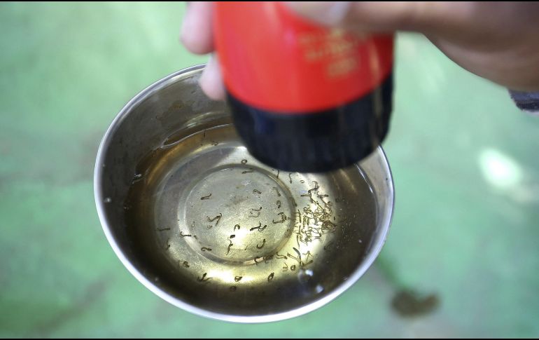 Este algoritmo contribuye a la construcción de comunidades más sanas y seguras. EFE/R. Gupta