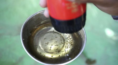 Este algoritmo contribuye a la construcción de comunidades más sanas y seguras. EFE/R. Gupta