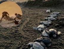 En un video se capta a al menos tres jóvenes con costales blancos cavando hoyos en la arena. ESPECIAL/ X@rioaxaca