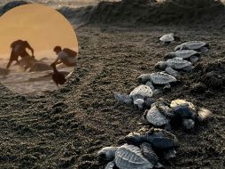 En un video se capta a al menos tres jóvenes con costales blancos cavando hoyos en la arena. ESPECIAL/ X@rioaxaca