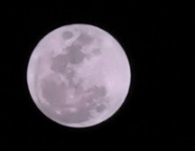 El fenómeno puede apreciarse sin necesidad de equipo especializado desde casi cualquier punto del planeta. EL INFORMADOR/E.ELIZONDO