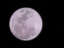 El fenómeno puede apreciarse sin necesidad de equipo especializado desde casi cualquier punto del planeta. EL INFORMADOR/E.ELIZONDO