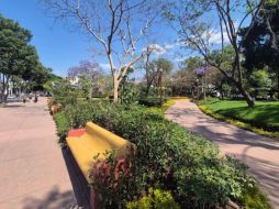 Ciudadanos afirman que, tras su renovación, el parque luce más limpio, amplio y con mejores espacios verdes. EL INFORMADOR/O. González