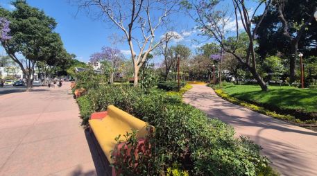 Ciudadanos afirman que, tras su renovación, el parque luce más limpio, amplio y con mejores espacios verdes. EL INFORMADOR/O. González
