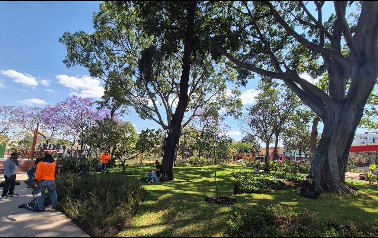 Ciudadanos afirman que, tras su renovación, el parque luce más limpio, amplio y con mejores espacios verdes.