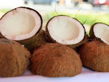 El coco es un excelente hidratante para la piel. PEXELS