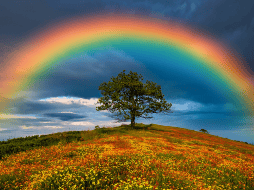 El arcoíris es mucho más que un fenómeno visual. Es el resultado de leyes físicas que han sido estudiadas durante siglos y que continúan siendo relevantes en la actualidad. CANVA