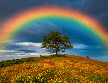 El arcoíris es mucho más que un fenómeno visual. Es el resultado de leyes físicas que han sido estudiadas durante siglos y que continúan siendo relevantes en la actualidad. CANVA