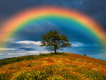 El arcoíris es mucho más que un fenómeno visual. Es el resultado de leyes físicas que han sido estudiadas durante siglos y que continúan siendo relevantes en la actualidad. CANVA