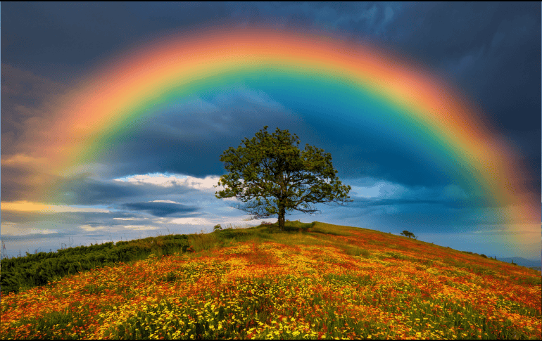 El arcoíris es mucho más que un fenómeno visual. Es el resultado de leyes físicas que han sido estudiadas durante siglos y que continúan siendo relevantes en la actualidad. CANVA
