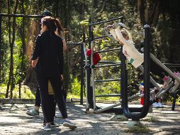 Bosque de Los Colomos, un sitio donde la naturaleza y las actividades recreativas y culturales conviven. EL INFORMADOR/Archivo