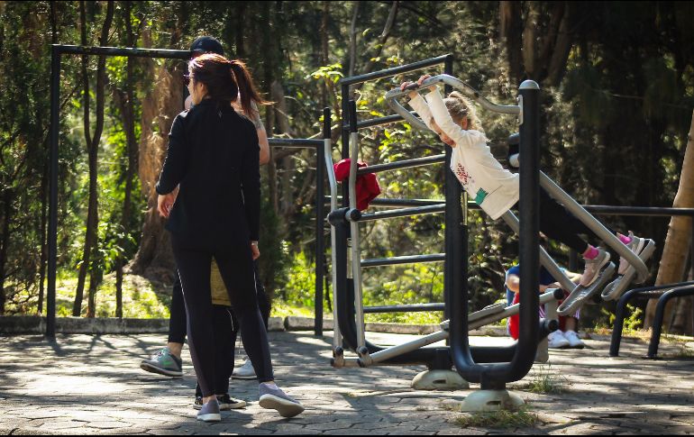 Bosque de Los Colomos, un sitio donde la naturaleza y las actividades recreativas y culturales conviven. EL INFORMADOR/Archivo