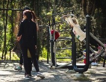 Bosque de Los Colomos, un sitio donde la naturaleza y las actividades recreativas y culturales conviven. EL INFORMADOR/Archivo