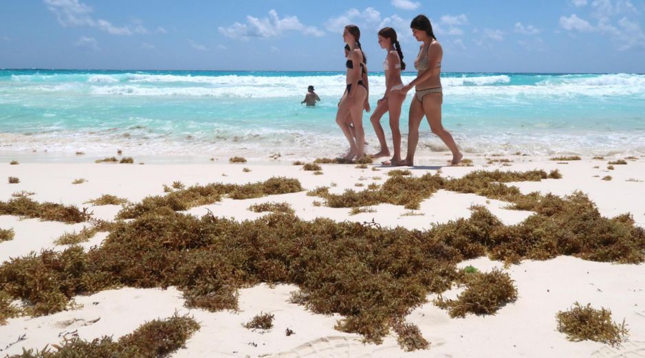 Turistas caminan en una playa impactada por el sargazo este lunes 30 de marzo del 2026 en Cancún, Quintana Roo. EFE/A. Cupul