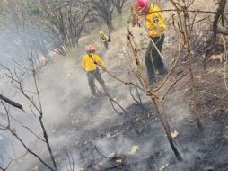 Un nuevo incendio forestal se registra dentro del Área Natural Protegida, en esta ocasión en el paraje El Arenero, en Zapopan.