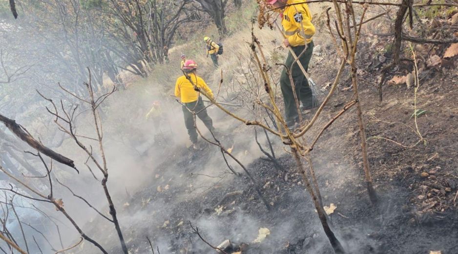 Un nuevo incendio forestal se registra dentro del Área Natural Protegida, en esta ocasión en el paraje El Arenero, en Zapopan.