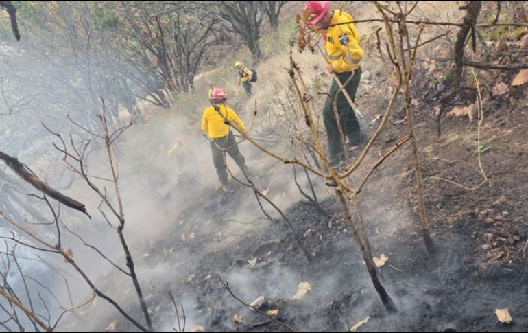 Un nuevo incendio forestal se registra dentro del Área Natural Protegida, en esta ocasión en el paraje El Arenero, en Zapopan.