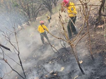 Un nuevo incendio forestal se registra dentro del Área Natural Protegida, en esta ocasión en el paraje El Arenero, en Zapopan.