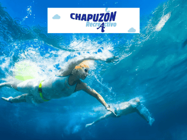 El acceso es completamente gratuito solo deberás presentar una identificación oficial ya sea tu INE o pasaporte vigente para el registro. ESPECIAL/ Unsplash