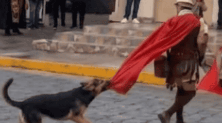 El resurgimiento de este video ha provocado una ola de reacciones en redes sociales, donde miles de usuarios han destacado la lealtad y valentía del perrito, convirtiéndolo en un símbolo espontáneo de empatía. ESPECIAL