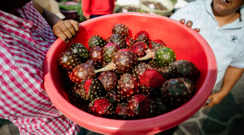 Estados como Jalisco, Oaxaca y Puebla se convierten en los principales protagonistas de su cultivo, recolección y venta a nivel nacional. EL INFORMADOR / ARCHIVO