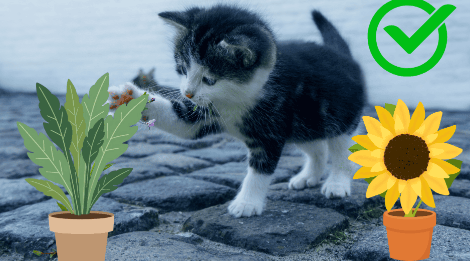 Existen numerosas especies seguras que no representan un riesgo para estas mascotas. CANVA