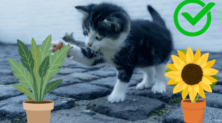 Existen numerosas especies seguras que no representan un riesgo para estas mascotas. CANVA