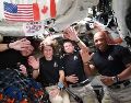 Captura de video tomada de la cuenta oficial en X @NASA que muestra a los astronautas Reid Wiseman, Christina Koch, Jeremy Hansen y Victor Glover durante su charla con Donald Trump. EFE/NASA