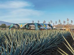 El evento se desarrolla en los campos de agave de José Cuervo, en Tequila, Jalisco. CORTESÍA