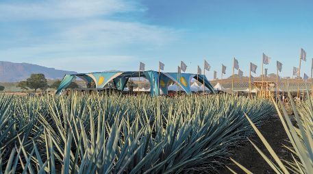 El evento se desarrolla en los campos de agave de José Cuervo, en Tequila, Jalisco. CORTESÍA