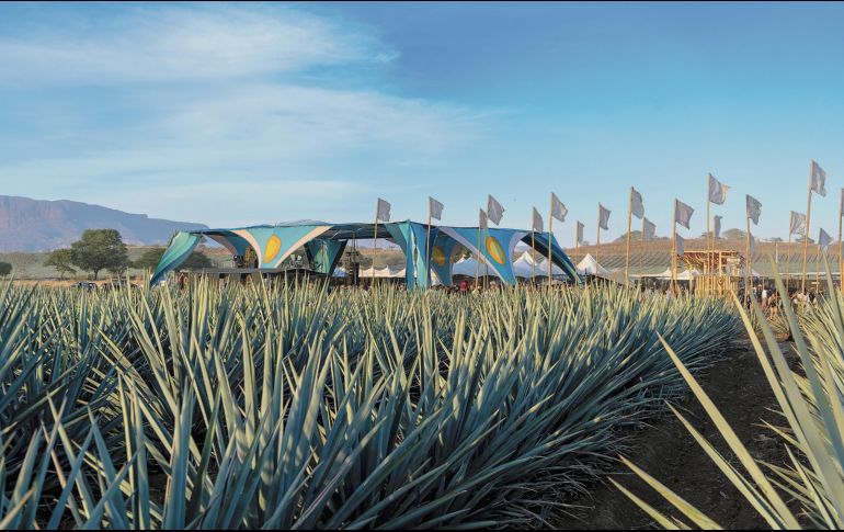 El evento se desarrolla en los campos de agave de José Cuervo, en Tequila, Jalisco. CORTESÍA