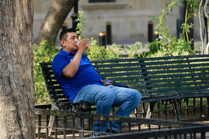 Nunca esperes a tener la molesta sensación de sed para comenzar a beber agua. EL INFORMADOR / ARCHIVO