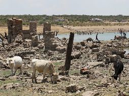 En México, el verano es la temporada en la que se registran más lluvias y es durante este periodo cuando puede presentarse la canícula. EL INFORMADOR / ARCHIVO
