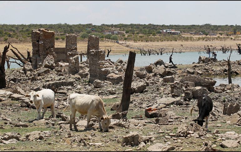 En México, el verano es la temporada en la que se registran más lluvias y es durante este periodo cuando puede presentarse la canícula. EL INFORMADOR / ARCHIVO