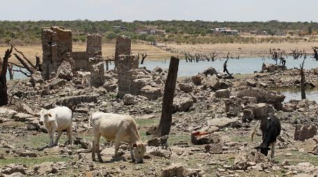 En México, el verano es la temporada en la que se registran más lluvias y es durante este periodo cuando puede presentarse la canícula. EL INFORMADOR / ARCHIVO