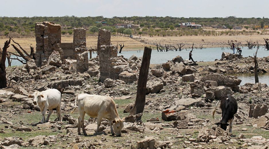 En México, el verano es la temporada en la que se registran más lluvias y es durante este periodo cuando puede presentarse la canícula. EL INFORMADOR / ARCHIVO