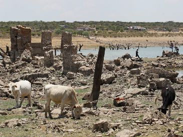En México, el verano es la temporada en la que se registran más lluvias y es durante este periodo cuando puede presentarse la canícula. EL INFORMADOR / ARCHIVO