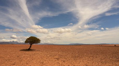 A nivel mundial, los extremos de calor y sequía combinados podrían ocurrir casi 10 veces al año en promedio para finales de siglo. Unsplash