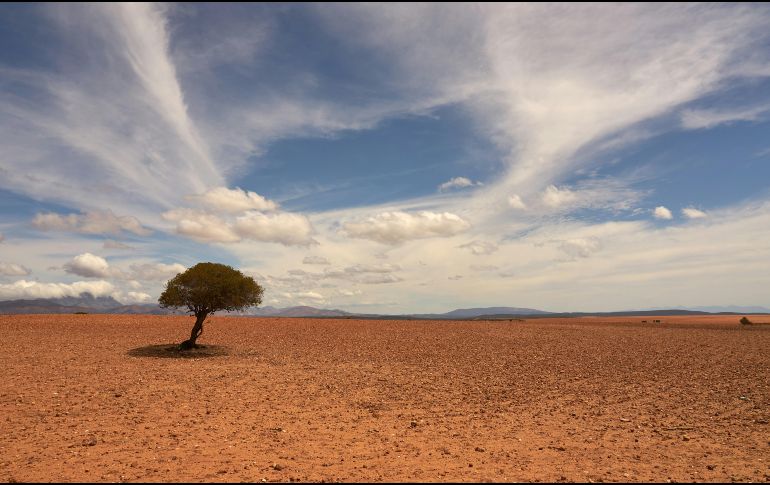 A nivel mundial, los extremos de calor y sequía combinados podrían ocurrir casi 10 veces al año en promedio para finales de siglo. Unsplash