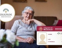 El INAPAM impulsa programas y beneficios que buscan fortalecer la calidad de vida de las personas de la tercera edad. PEXELS/ESPECIAL