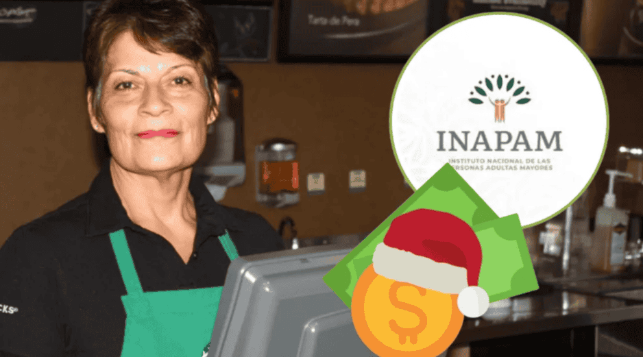 Luego del proceso, el adulto mayor puede comenzar a trabajar con sueldo base y prestaciones. INAPAM / CANVA