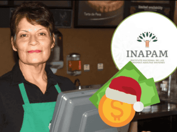 Luego del proceso, el adulto mayor puede comenzar a trabajar con sueldo base y prestaciones. INAPAM / CANVA