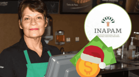 Luego del proceso, el adulto mayor puede comenzar a trabajar con sueldo base y prestaciones. INAPAM / CANVA